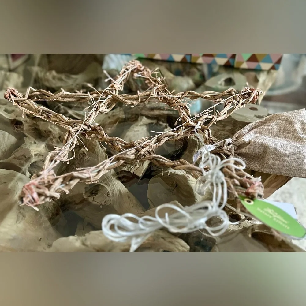 RARE TERRAIN NWT Stargazer Illuminated LED Vine Star